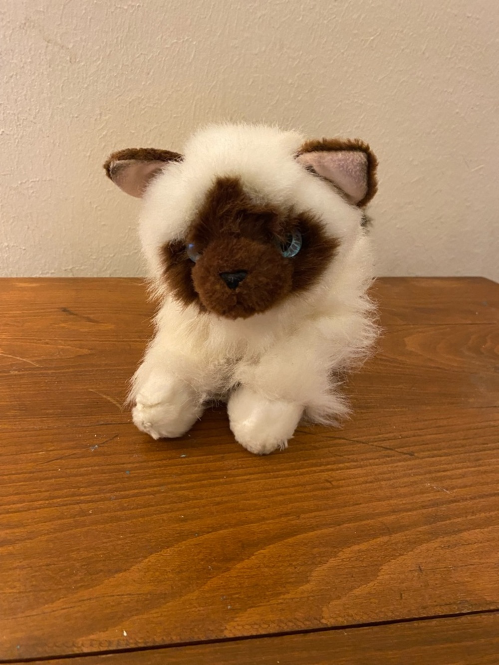 Plush Siamese Kitten Stuffed Animal - White and Brown.